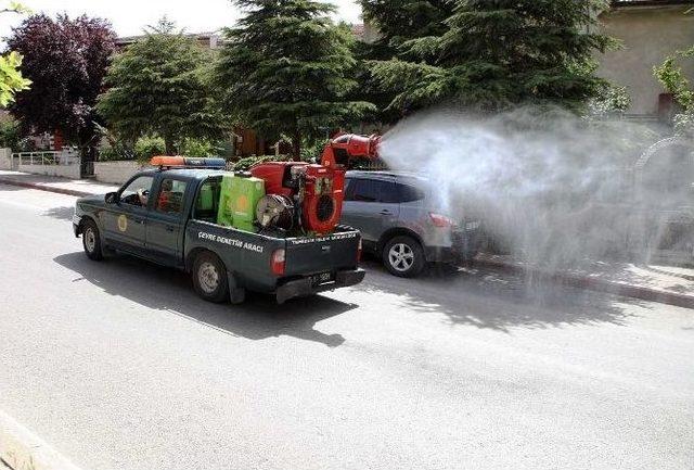 Yenimahalle Belediyesi Haşerelere Savaş Açtı