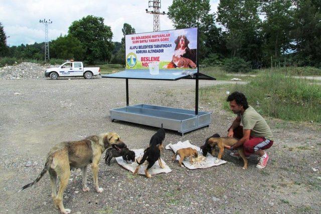 Alaplı'da Sokak Hayvanları Için Besleme Noktaları