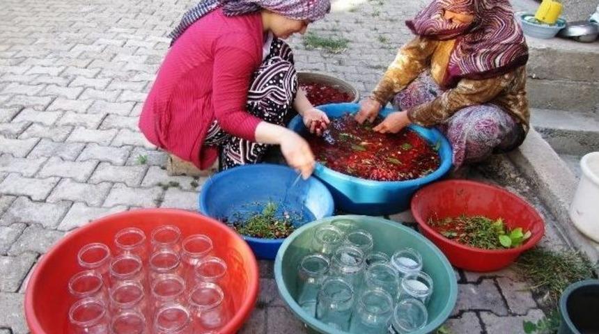 Para Etmeyen Vişneler Konserve Yapılıyor