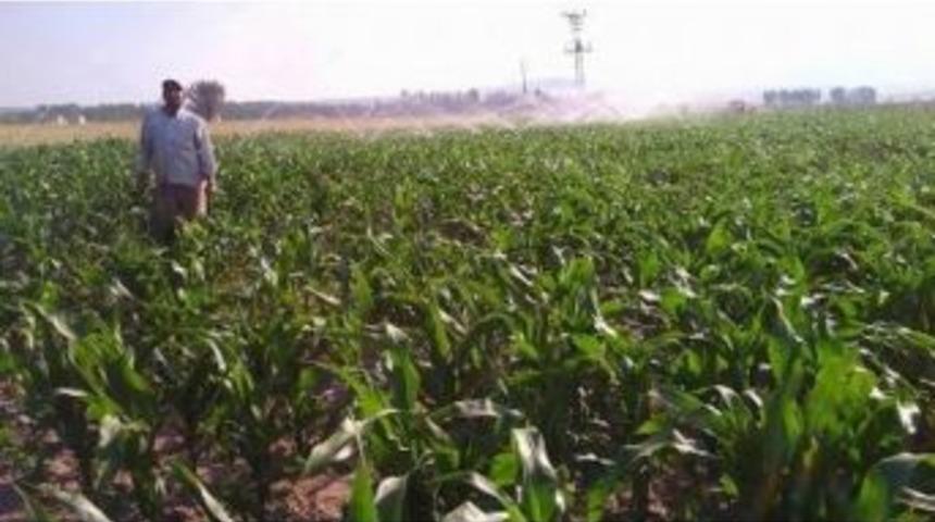 D&ouml;ğer&rsquo;de Kapalı Devre Sulama Sisteme Devreye Girdi