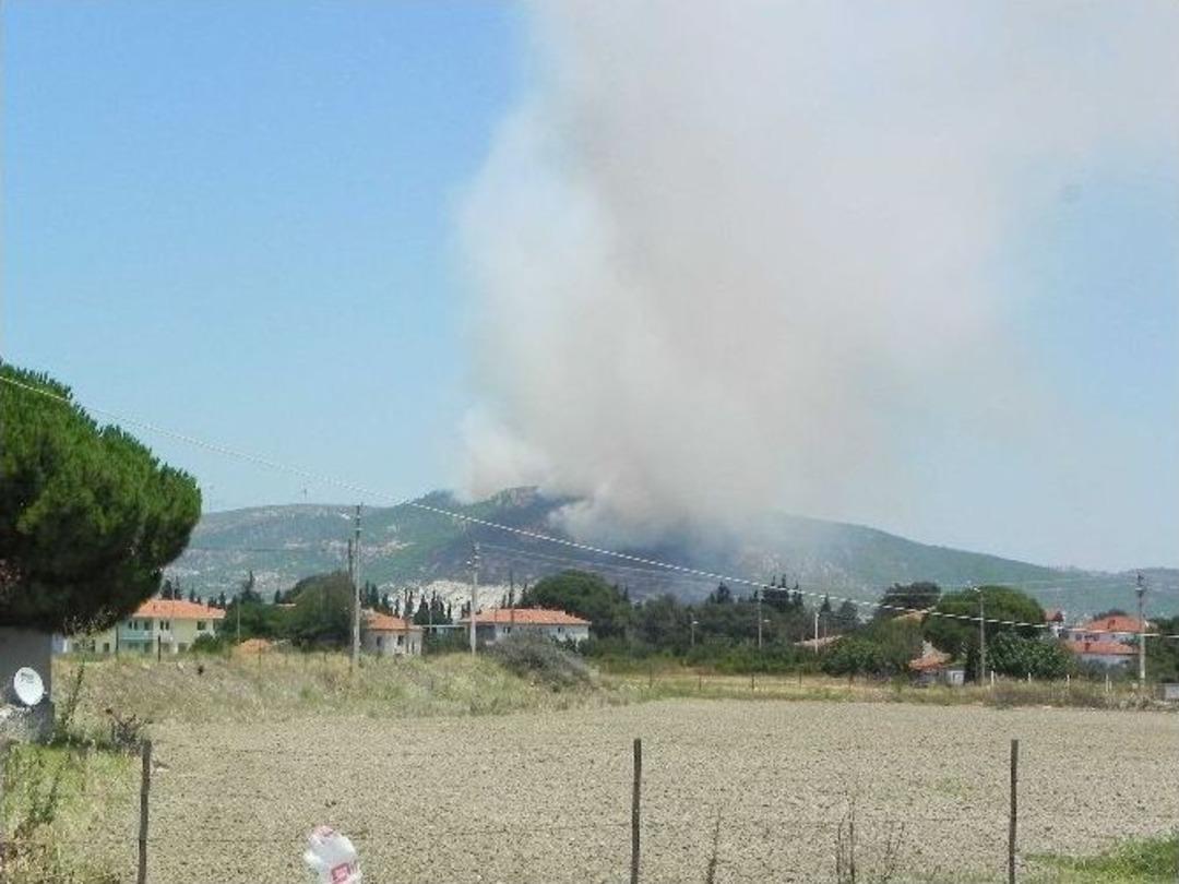 Fo&ccedil;a&rsquo;da 10 Hektarlık Alanda Yangın