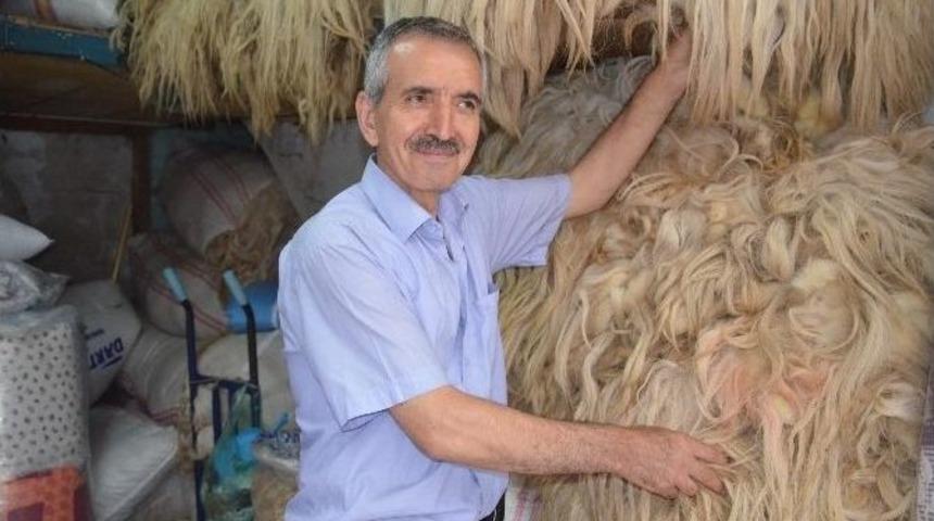 Koyun Y&uuml;n&uuml; Eski İlgiyi G&ouml;rm&uuml;yor