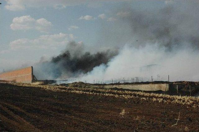Anız Yangını Yüzlerce Hektar Alanı Kül Etti 1