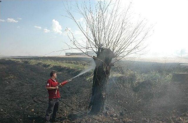 Anız Yangını Yüzlerce Hektar Alanı Kül Etti 3