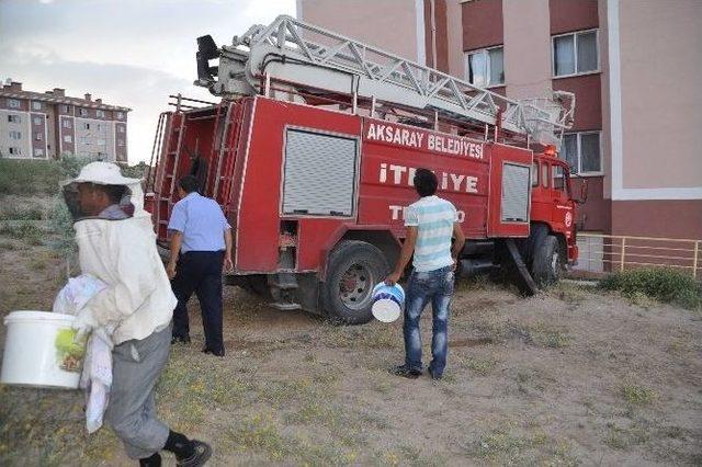 Aksaray’da Arı İstilası