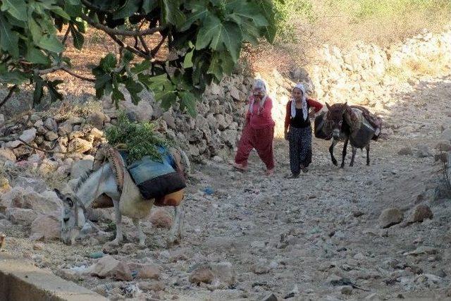 Sarıkaya Köylülerinin Eşeklerle İçme Suyu Taşıma Çilesi