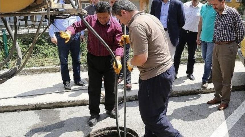 Ordu Tedbirli