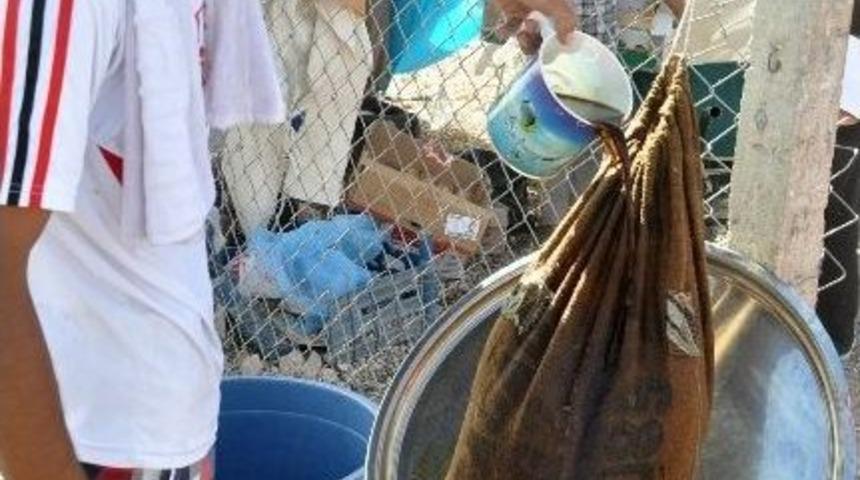 Sığınmacılar Ramazan Da Meyan K&ouml;k&uuml; İ&ccedil;iyor