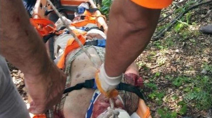 Kekik Toplayan Yaşlı Adam U&ccedil;urumdan Yuvarlandı