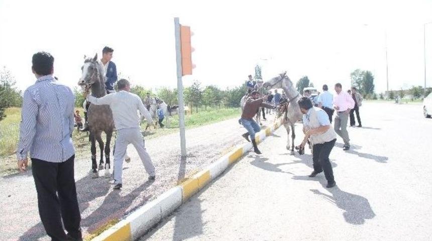 Başbakan Erdoğan'a Eskortluk Eden Helikopterler Atlı Ekibi Korkuttu