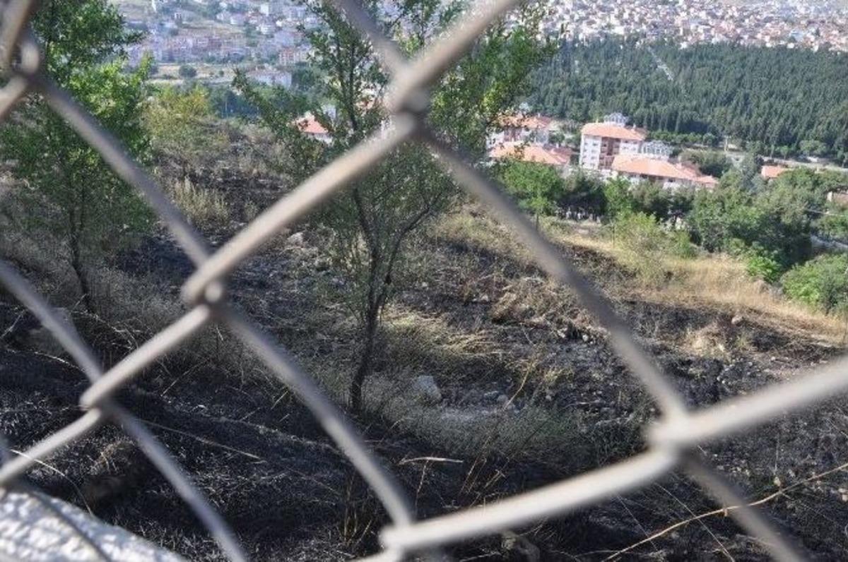 Balıkesir'de Arazi Yangını Korkuttu