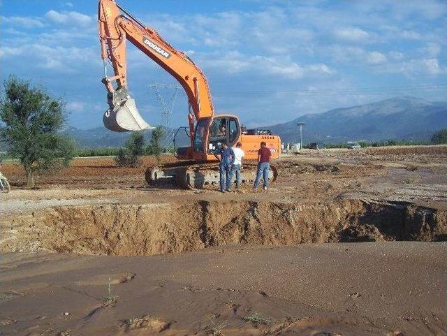 Bayat Ovasında 25 Bin Dönüm Meyve Bahçe Susuz Kaldı