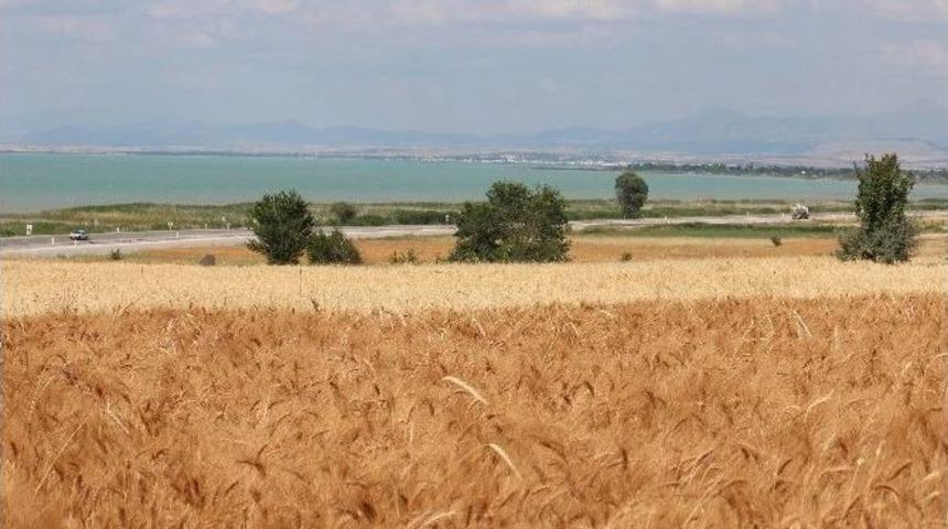 Beyşehir&rsquo;de Son Yağışlar &Uuml;reticinin Y&uuml;z&uuml;n&uuml; G&uuml;ld&uuml;rd&uuml;