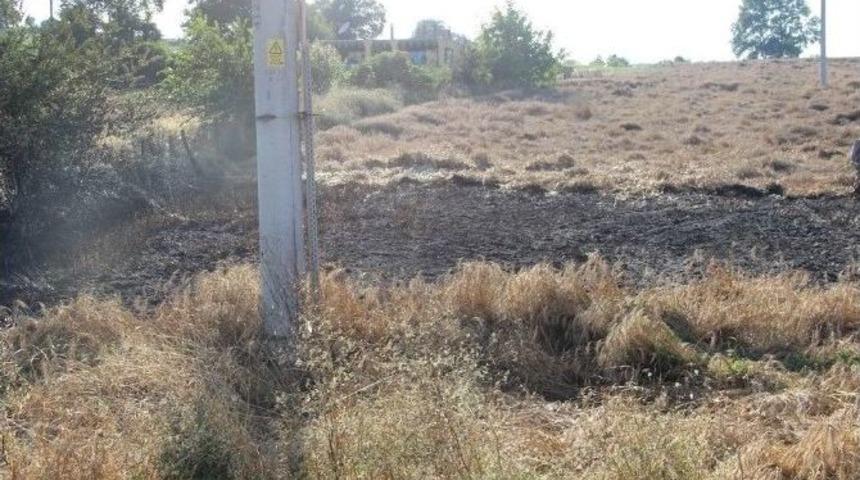 Kaynarca&rsquo;da &Uuml;&ccedil; D&ouml;n&uuml;m Buğday K&uuml;l Oldu