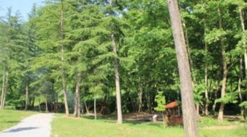 Tekirdağ&rsquo;da Orman Yangınlarına Karşı &Ouml;nlem Alındı