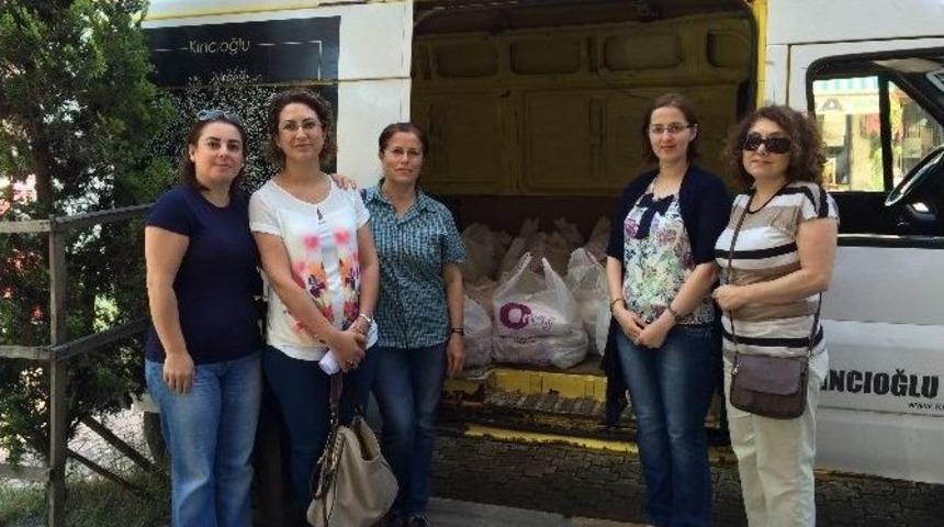T&uuml;rk Kadınlar Birliği &Uuml;nye Şubesi'nin Faaliyetleri