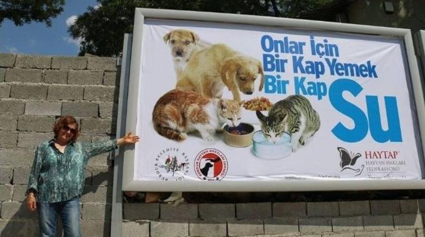 Ramazan&rsquo;da Sokak Hayvanları Seferberliği