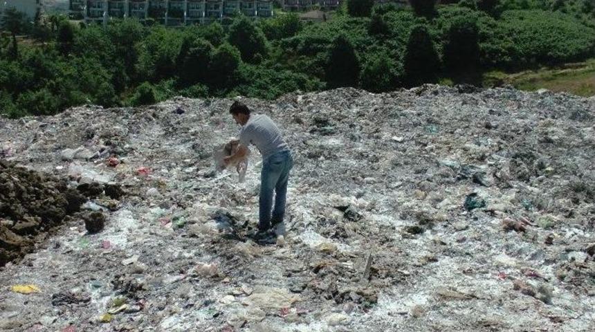 Ak&ccedil;akoca'da &Ccedil;&ouml;pl&uuml;k Kire&ccedil;leniyor