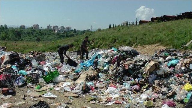 Akçakoca'da Çöplük Kireçleniyor