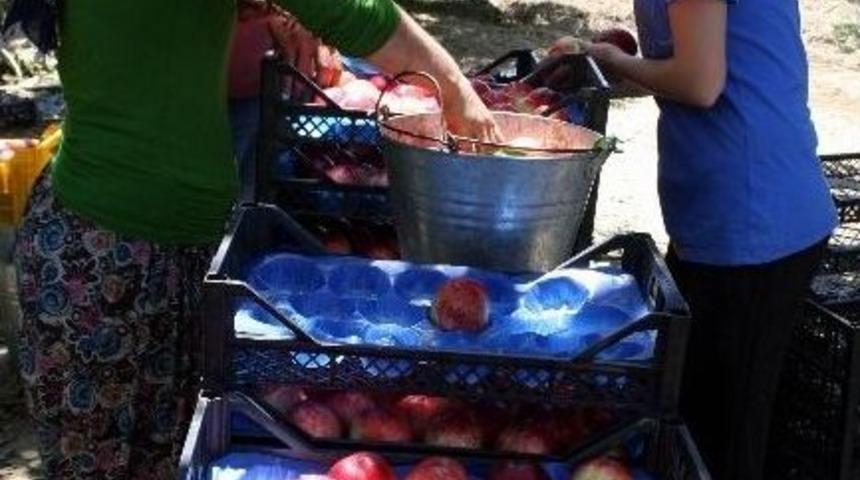 &Uuml;reticilere İla&ccedil;lama Uyarısı