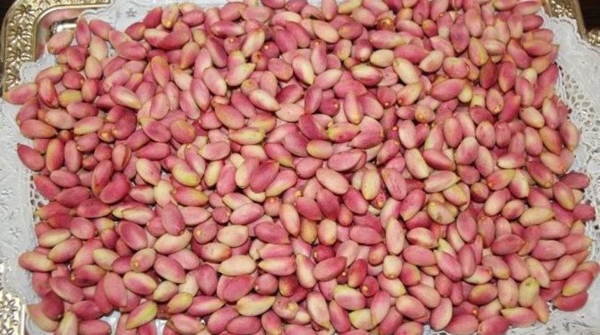 Yılın İlk Ben Fıstığına Cumhuriyet Altını