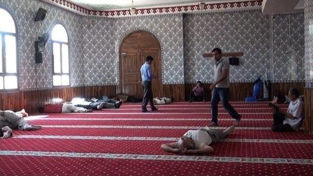 Namazdan Sonra Uyku 1