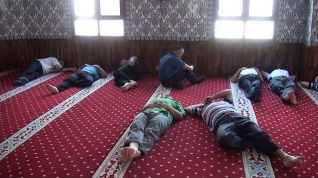 Namazdan Sonra Uyku 2