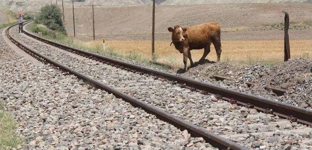 K&ouml;yl&uuml;lerden Hemzemin Ge&ccedil;it Eylemi 1