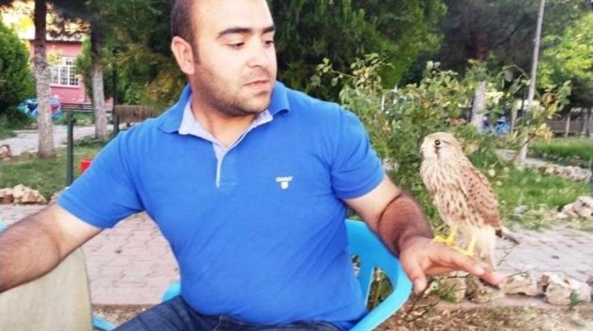 İyileştirilen Atmaca Kendisini Tedavi Ettirenleri Bırakmıyor