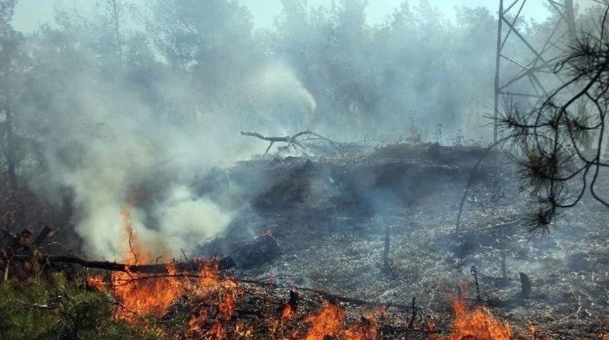 Karab&uuml;k&rsquo;te Orman Yangını