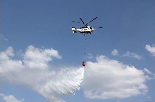 Karabük’te Orman Yangını