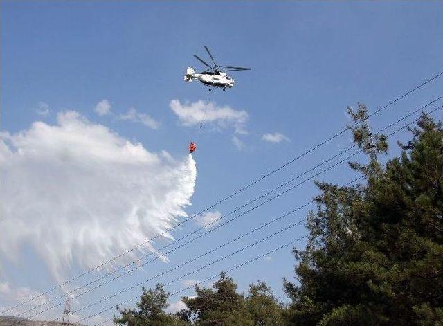 Karabük’te Orman Yangını