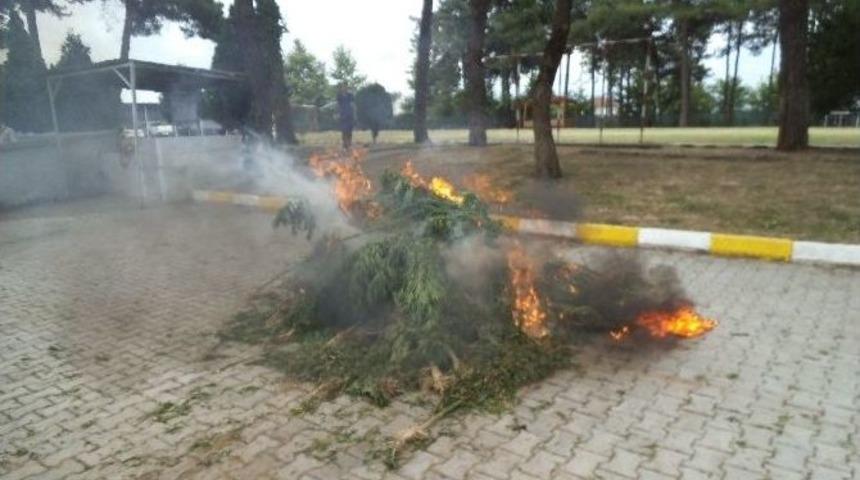 Jandarmadan Kent Genelinde Uyuşturucu Operasyonu