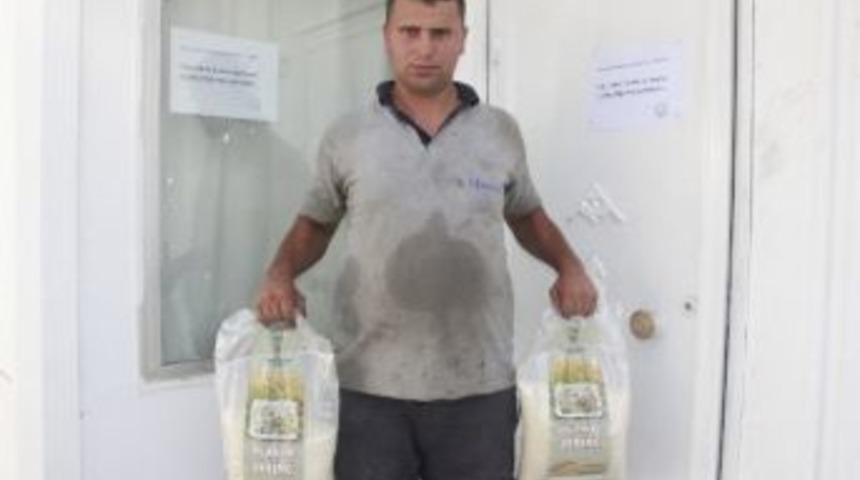 Tmo Pirincine Yoğun İlgi