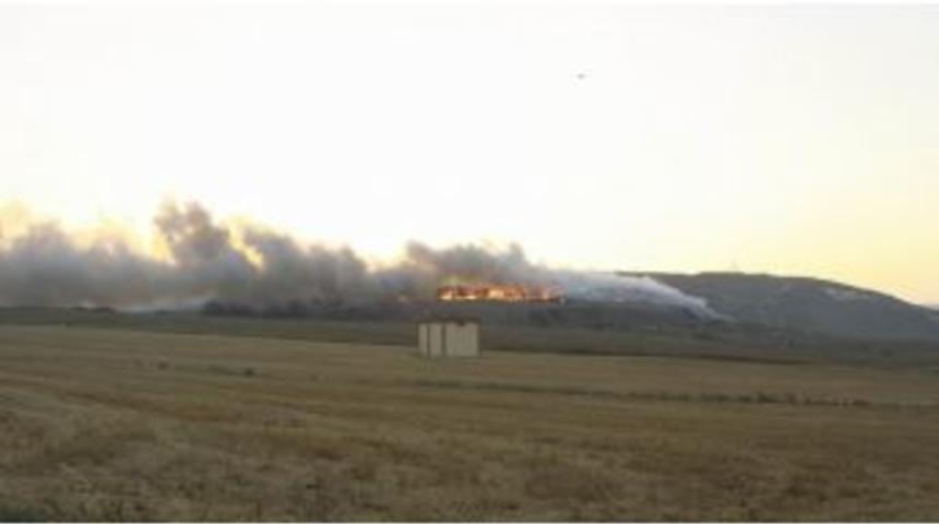 Bandırma &Ccedil;&ouml;pl&uuml;ğ&uuml;nde Yangın &Ccedil;ıktı