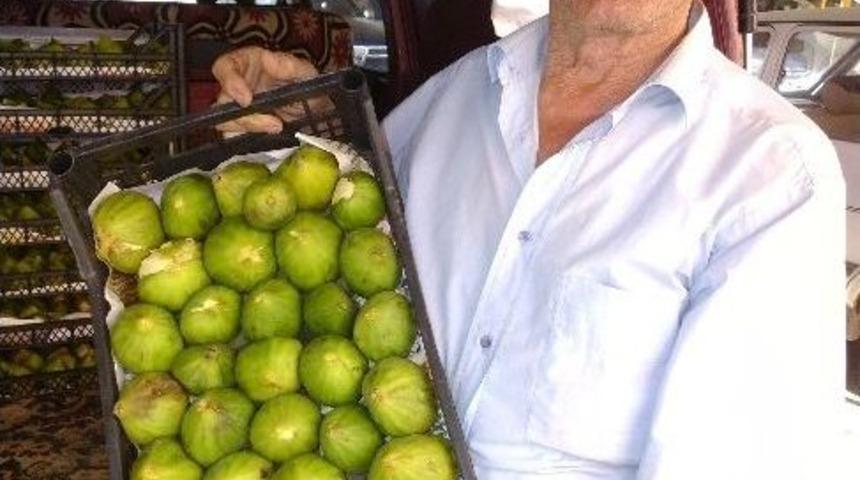 Şark&ouml;y İnciri Tezgahta