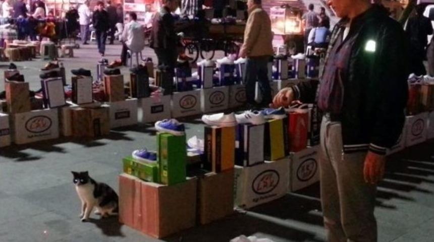 (&ouml;zel Haber) Kedinin &ldquo;lazerle&rdquo; İmtihanı
