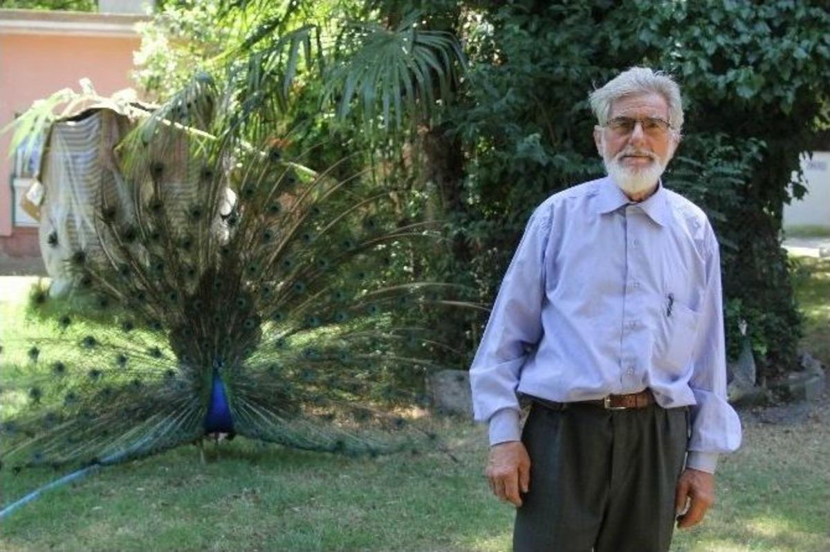 (&ouml;zel Haber) Sahibinden Satılık Kuş Cenneti