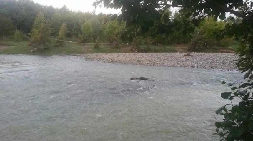 İki &Ccedil;ocuk Babasının Cesedi Melen &Ccedil;ayında Bulundu