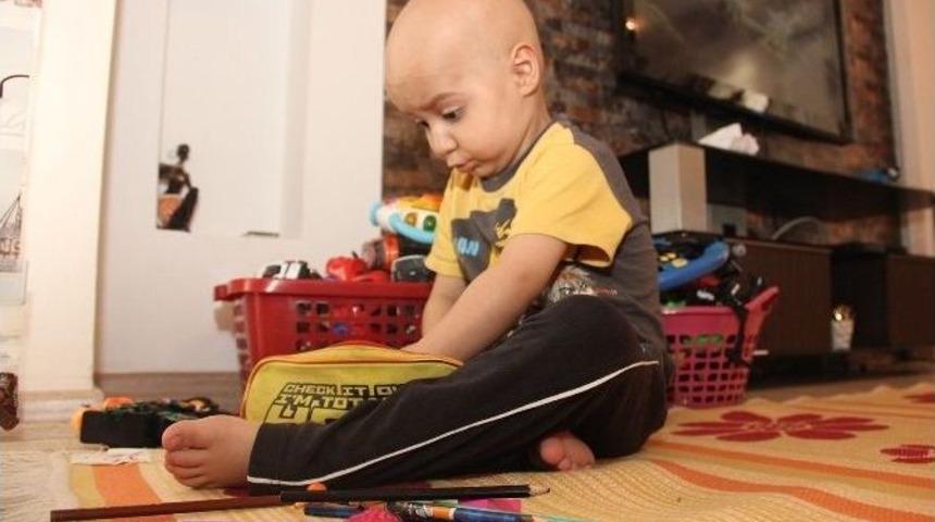 (&ouml;zel Haber) L&ouml;semili Minik Yağız İ&ccedil;in Seferberlik