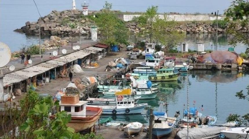 Balık&ccedil;ı Barınağı Yeniden D&uuml;zenlenecek
