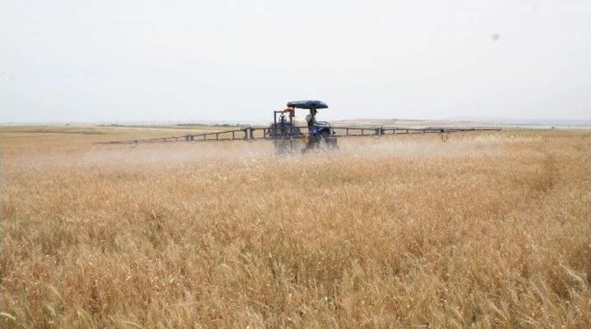 Adıyaman'da S&uuml;ne M&uuml;cadelesi