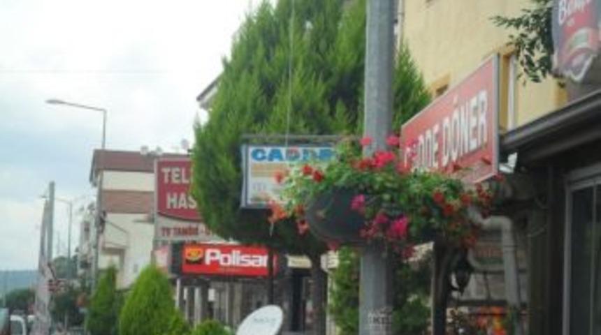 Kartepe&rsquo;de Direkler &Ccedil;i&ccedil;ek A&ccedil;tı