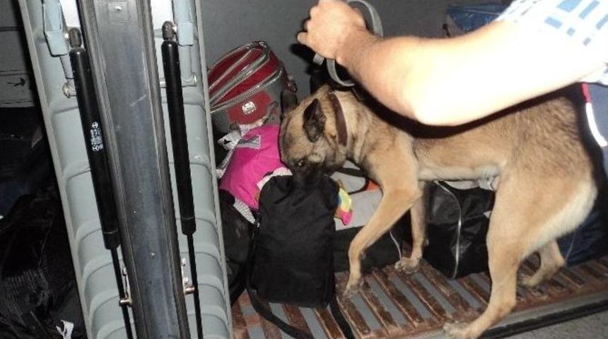 Ereğli&rsquo;de Esrar Operasyonu