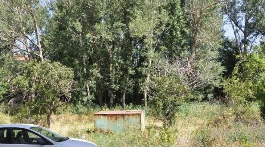 Sorgun'da Boş Ve &Ccedil;&ouml;pl&uuml;ğe D&ouml;nen Arsaları Mekan Tutan Madde Bağımlıları Vatandaşı Rahatsız Ediyor