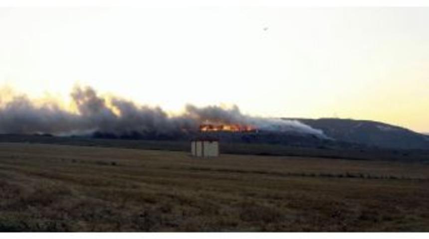 &Ccedil;&ouml;pl&uuml;k Yangını Kontrol Altına Alındı