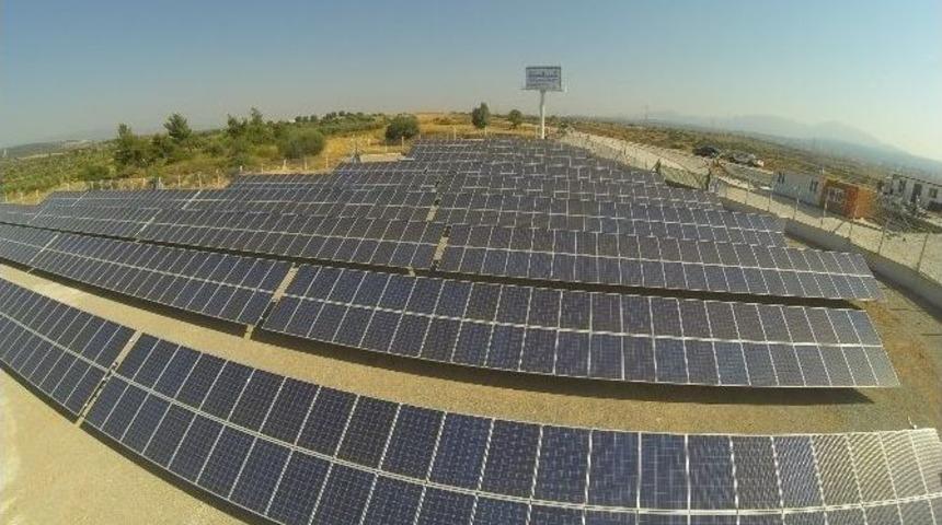 “güneşten Ormanlar" Enerji Üretmeye Başladı