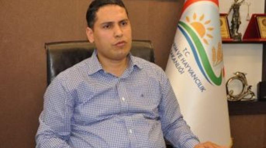 10 Bin 727 &Ccedil;ift&ccedil;i Kuraklıktan Etkilendi