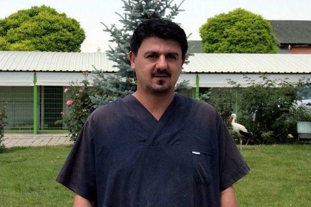 Yavru Leylekler Yaşama Tutundu 2