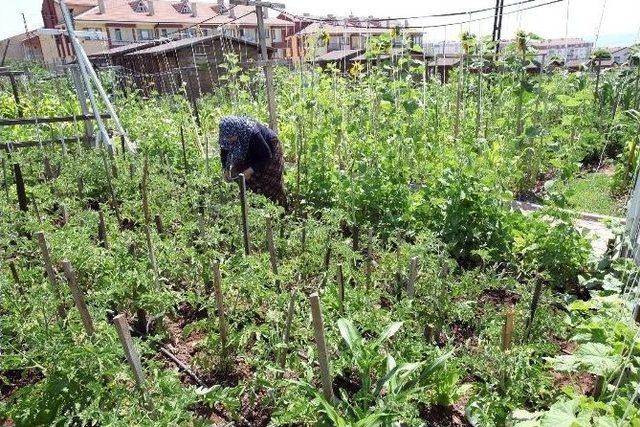 İftarlıklar Hobi Bah&ccedil;esinden 2
